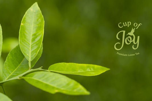 cupofjoy_hompageFINAL1